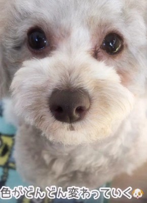 白系カラーに!!