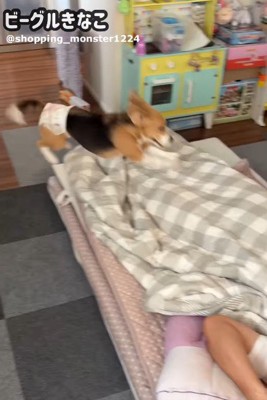 独特な愛情表現かも♡