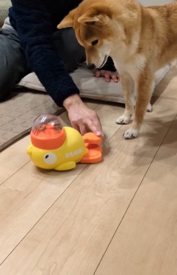 オヤツが出るおもちゃで遊ぶすずちゃん8