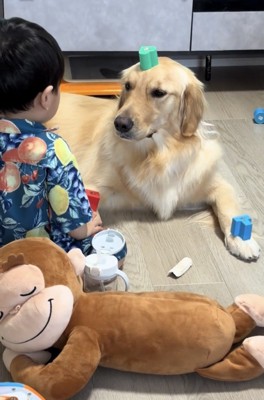 おもちゃを乗せたままの犬