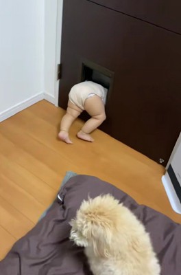 「え…どうしたらいい?」