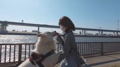 BJくんが彼女さんに気づくか検証7