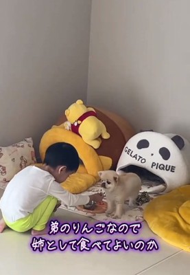 舌が出るうにちゃん