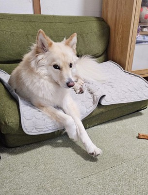 つるちゃんの日常2