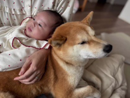 今ではすっかり仲良し♪