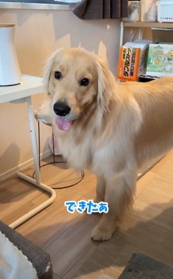 得意気なコロッケくん