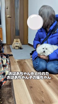 女性の膝の上に座る犬を遠くから見つめる猫