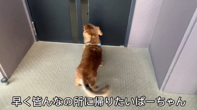 みんなの反応は…?