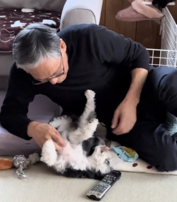 お腹を見せる犬
