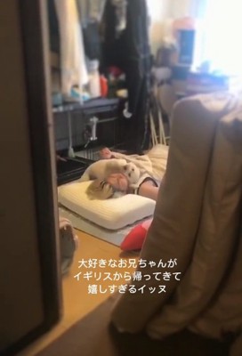 クネクネするワンコ