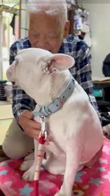 笑顔で犬を撫でる男性