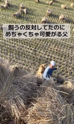 お父さん、嬉しそうです
