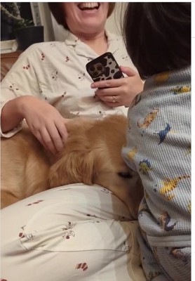 大型犬の顔の前に後ろ姿の子供