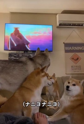 みんな大混乱！