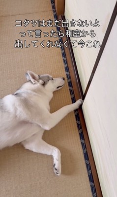 閉めます、何度でも