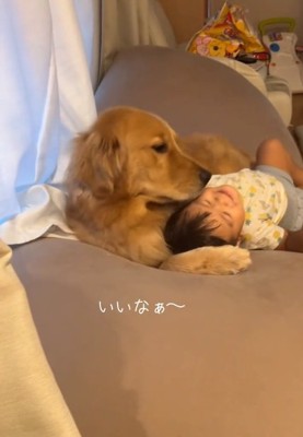 息子さんを支えるこむぎくん