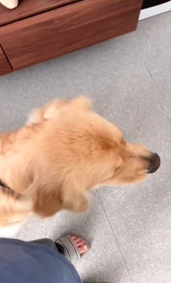 リリーちゃんと弟くんの初対面2