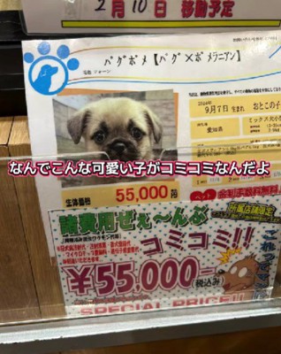 会いに行ってみたら…