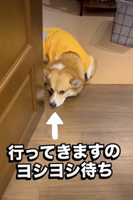 じっとりめの視線