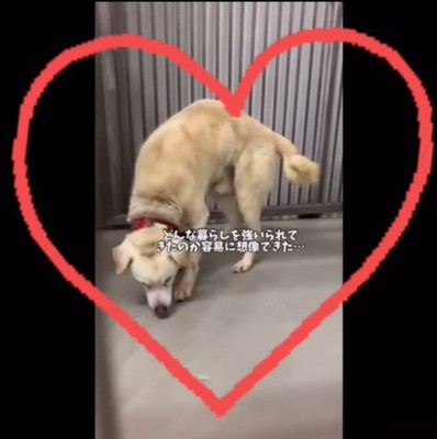 三郎くんが幸せを掴むまで5