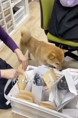 真剣なまなざし