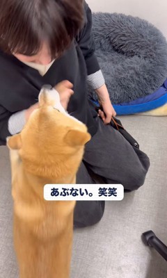 社員さんを歓迎するフクちゃん＆マロちゃん8