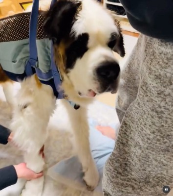 お兄ちゃんがサポート