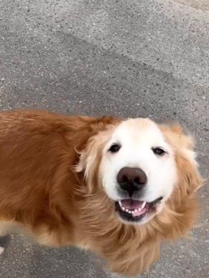 「会えてよかった!」