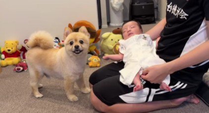 すっかり立派なお兄ちゃん!