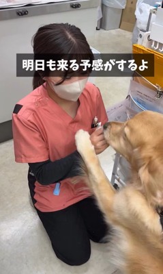 病院が大好きなマーシャル君⑩