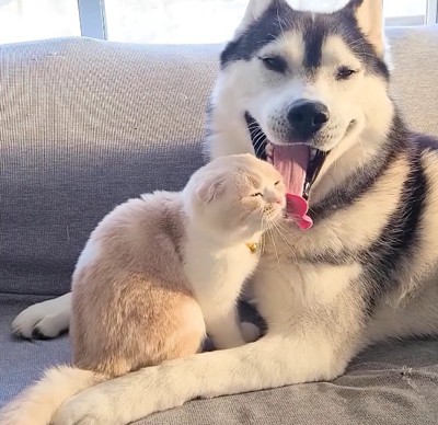 気を付けながら口を閉じる