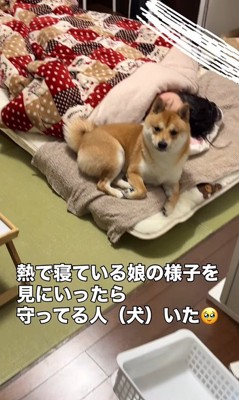 心配してくれているようです