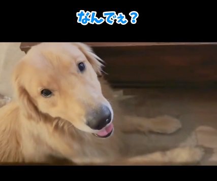 無邪気なコロッケくん