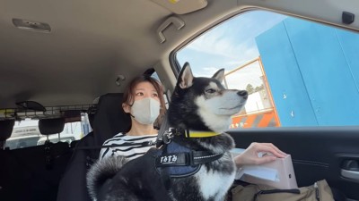 「あれ?なんか変だな…」