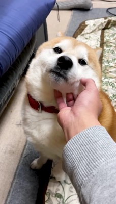 「ふむ…よかろう…」