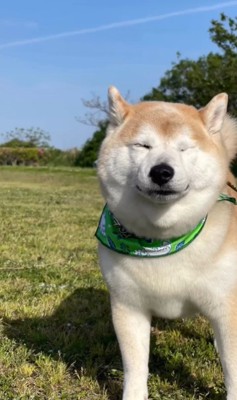 サロンに預けられる豆助座衛門くん⑩