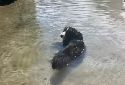 ひとりでの川遊び