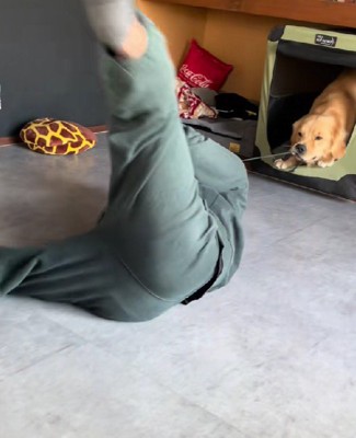 思い切り引っ張る！！