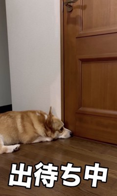 トイレの真ん前で