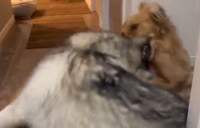 「息が！息ができない！！」