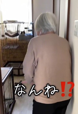 子犬のオレオちゃんが登場！！