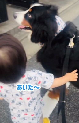 話しかける男の子