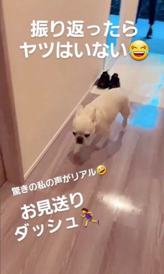 やまわきさんのお見送り6