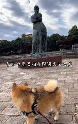 銅像の周りを歩くあずきちゃん