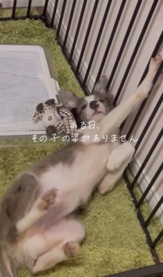 寂しくもホッとしました