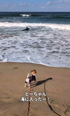 パパを見送って…