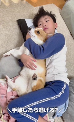 手を離してもこの通り