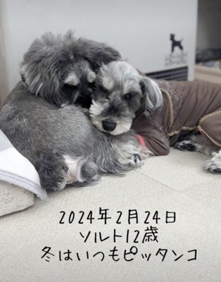 大の仲良し