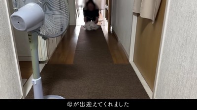 感動の再会にホッコリ♡