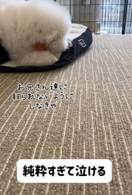 ボールを守りながら一休み